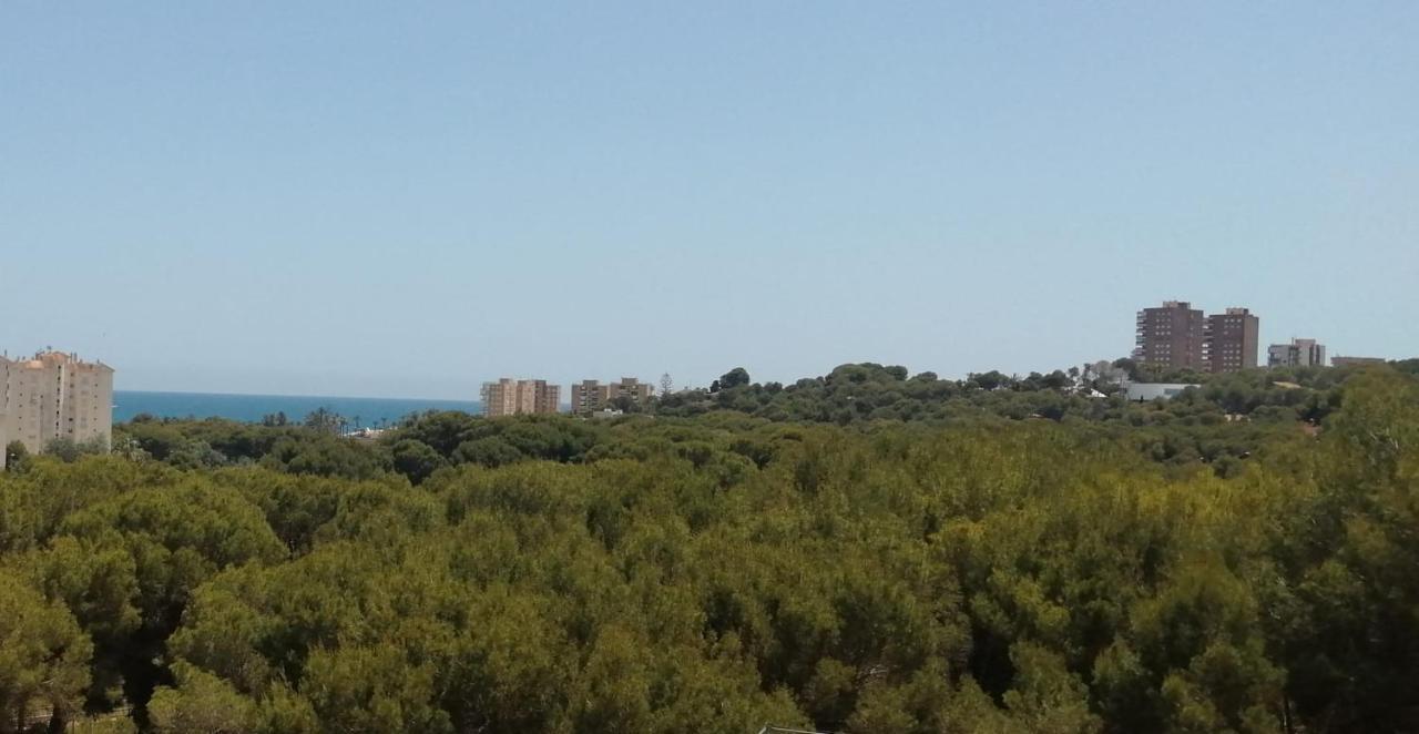 Campoamor Seaview Kültér fotó